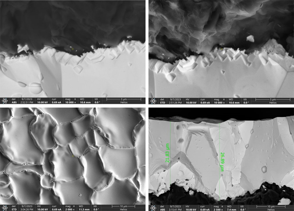 Tegumentum TaC e carburo tantali in sectione transversali microscopica